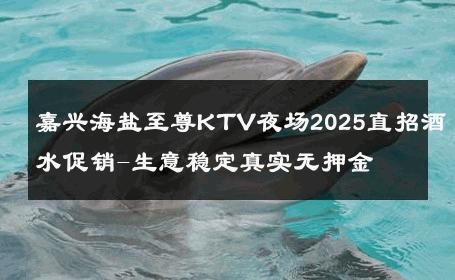 嘉兴海盐至尊KTV夜场2025直招酒水促销-生意稳定真实无押金