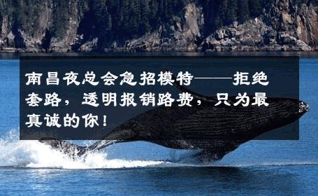 南昌夜总会急招模特——拒绝套路，透明报销路费，只为最真诚的你！