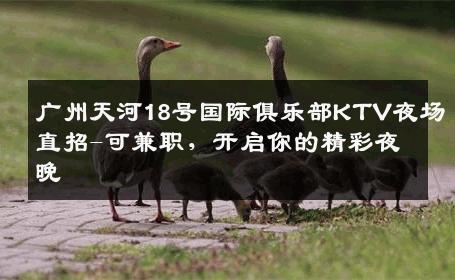 广州天河18号国际俱乐部KTV夜场直招-可兼职，开启你的精彩夜晚