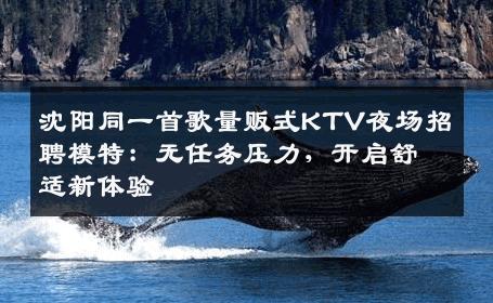 沈阳同一首歌量贩式KTV夜场招聘模特：无任务压力，开启舒适新体验