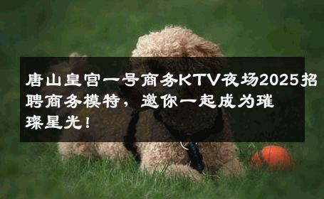 唐山皇宫一号商务KTV夜场2025招聘商务模特，邀你一起成为璀璨星光！