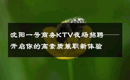 沈阳一号商务KTV夜场招聘——开启你的高素质兼职新体验