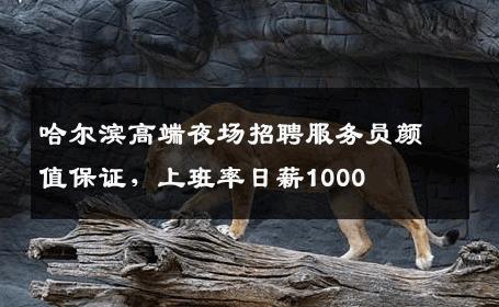 哈尔滨高端夜场招聘服务员颜值保证，上班率日薪1000