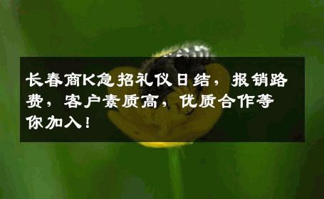 长春商K急招礼仪日结，报销路费，客户素质高，优质合作等你加入！