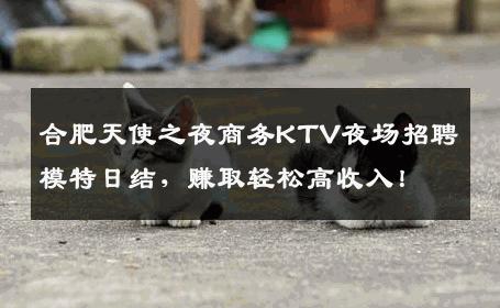 合肥天使之夜商务KTV夜场招聘模特日结，赚取轻松高收入！