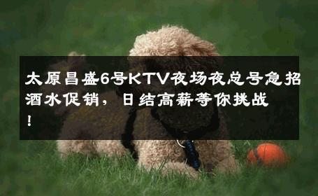 太原昌盛6号KTV夜场夜总号急招酒水促销，日结高薪等你挑战！