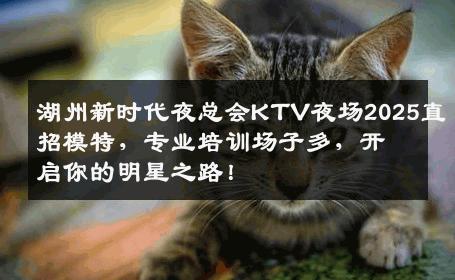 湖州新时代夜总会KTV夜场2025直招模特，专业培训场子多，开启你的明星之路！