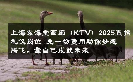 上海东海堂画廊（KTV）2025直招礼仪岗位-免一切费用助你梦想腾飞，靠自己成就未来