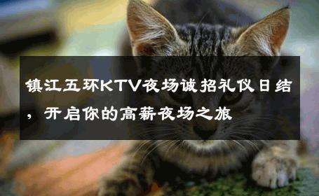 镇江五环KTV夜场诚招礼仪日结，开启你的高薪夜场之旅