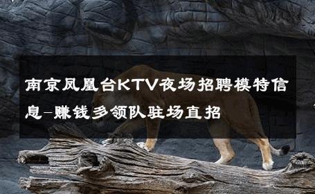 南京凤凰台KTV夜场招聘模特信息-赚钱多领队驻场直招