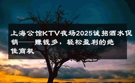 上海公馆KTV夜场2025诚招酒水促销——赚钱多，轻松盈利的绝佳商机