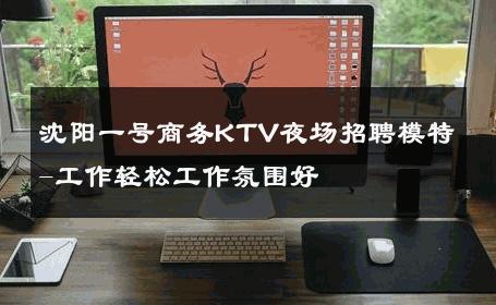 沈阳一号商务KTV夜场招聘模特-工作轻松工作氛围好