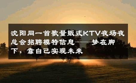 沈阳同一首歌量贩式KTV夜场夜总会招聘模特信息——梦在脚下，靠自己实现未来