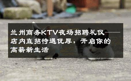 兰州商务KTV夜场招聘礼仪——店内直招待遇优厚，开启你的高薪新生活