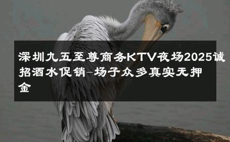 深圳九五至尊商务KTV夜场2025诚招酒水促销-场子众多真实无押金