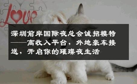 深圳前岸国际夜总会诚招模特——高收入平台，外地豪车接送，开启你的璀璨夜生活