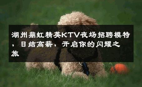 湖州鼎虹精英KTV夜场招聘模特，日结高薪，开启你的闪耀之旅