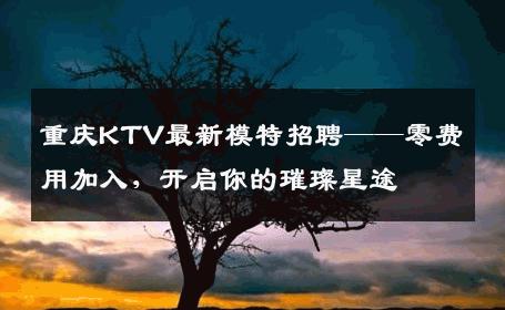 重庆KTV最新模特招聘——零费用加入，开启你的璀璨星途
