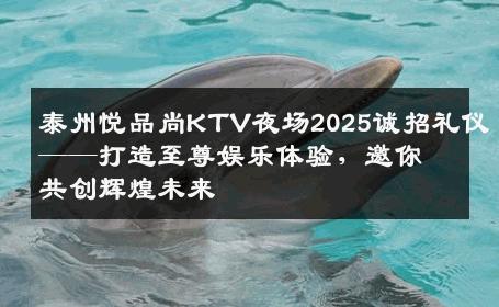 泰州悦品尚KTV夜场2025诚招礼仪——打造至尊娱乐体验，邀你共创辉煌未来