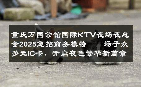 重庆万国公馆国际KTV夜场夜总会2025急招商务模特——场子众多无IC卡，开启夜色繁华新篇章