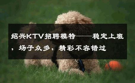 绍兴KTV招聘模特——稳定上班，场子众多，精彩不容错过