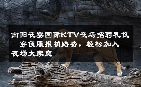 南阳夜宴国际KTV夜场招聘礼仪—穿便服报销路费，轻松加入夜场大家庭