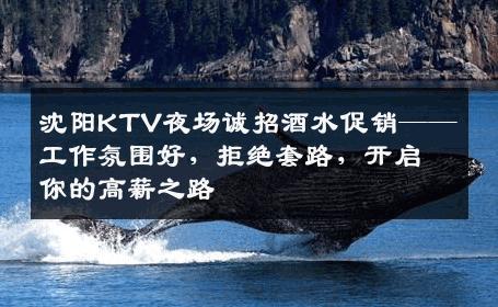 沈阳KTV夜场诚招酒水促销——工作氛围好，拒绝套路，开启你的高薪之路