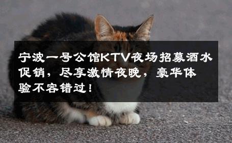宁波一号公馆KTV夜场招募酒水促销，尽享激情夜晚，豪华体验不容错过！