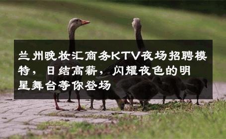 兰州晚妆汇商务KTV夜场招聘模特，日结高薪，闪耀夜色的明星舞台等你登场