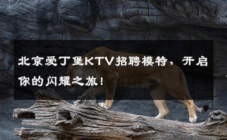 北京爱丁堡KTV招聘模特，开启你的闪耀之旅！