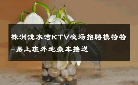 株洲浅水湾KTV夜场招聘模特特-易上班外地豪车接送