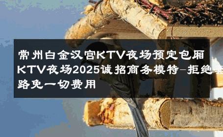 常州白金汉宫KTV夜场预定包厢KTV夜场2025诚招商务模特-拒绝套路免一切费用