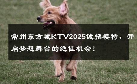 常州东方城KTV2025诚招模特，开启梦想舞台的绝佳机会！
