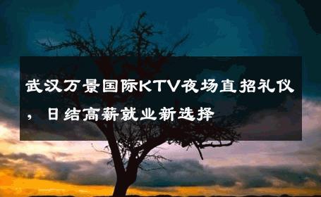 武汉万景国际KTV夜场直招礼仪，日结高薪就业新选择