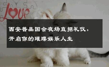 西安普晶国会夜场直招礼仪，开启你的璀璨娱乐人生