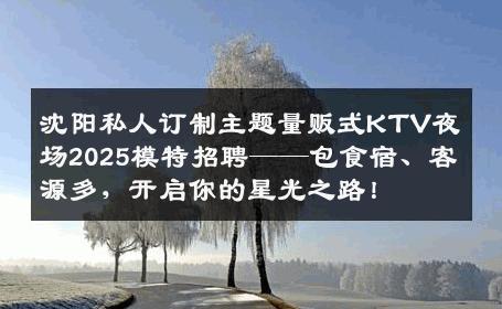 沈阳私人订制主题量贩式KTV夜场2025模特招聘——包食宿、客源多，开启你的星光之路！
