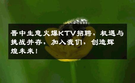 晋中生意火爆KTV招聘，机遇与挑战并存，加入我们，创造辉煌未来！
