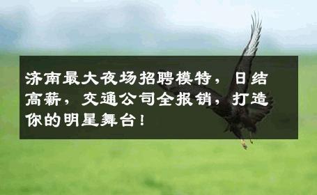 济南最大夜场招聘模特，日结高薪，交通公司全报销，打造你的明星舞台！
