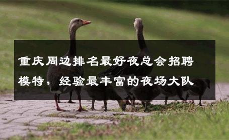 重庆周边排名最好夜总会招聘模特，经验最丰富的夜场大队