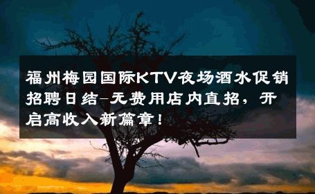福州梅园国际KTV夜场酒水促销招聘日结-无费用店内直招，开启高收入新篇章！