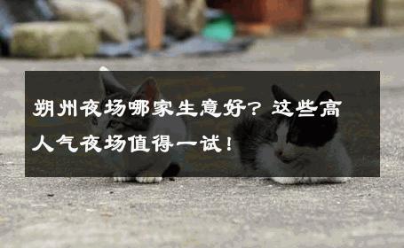朔州夜场哪家生意好？这些高人气夜场值得一试！