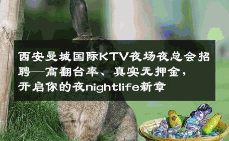 西安曼城国际KTV夜场夜总会招聘—高翻台率、真实无押金，开启你的夜nightlife新章