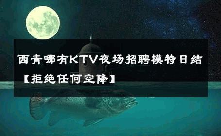 西青哪有KTV夜场招聘模特日结【拒绝任何空降】