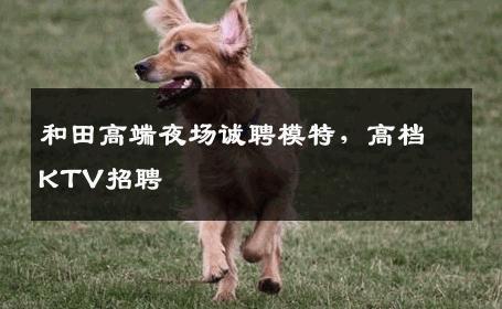 和田高端夜场诚聘模特，高档KTV招聘