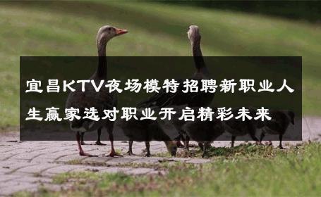 宜昌KTV夜场模特招聘新职业人生赢家选对职业开启精彩未来