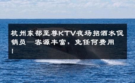 杭州东部至尊KTV夜场招酒水促销员—客源丰富，免任何费用！