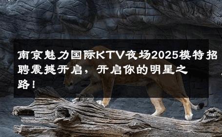 南京魅力国际KTV夜场2025模特招聘震撼开启，开启你的明星之路！