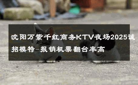 沈阳万紫千红商务KTV夜场2025诚招模特-报销机票翻台率高