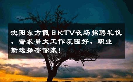 沈阳东方假日KTV夜场招聘礼仪，需求量大工作氛围好，职业新选择等你来！
