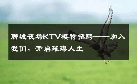 聊城夜场KTV模特招聘——加入我们，开启璀璨人生
